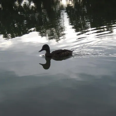 Garni Eichhornkobel 3* Faßberg