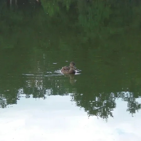 Garni Eichhornkobel 3*